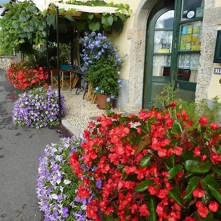 In Plait * Cercivento