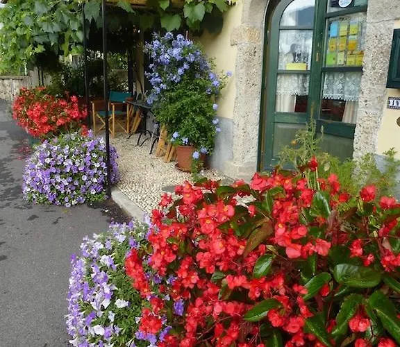 In Plait * Cercivento