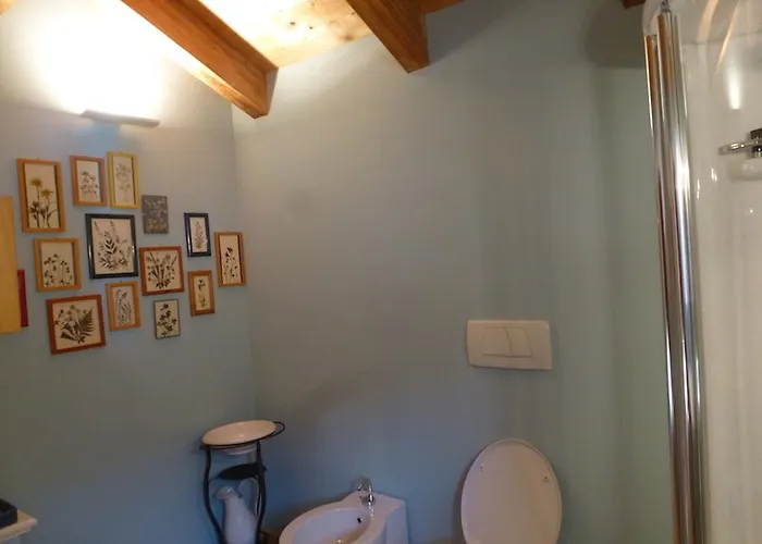 In Plait * Cercivento